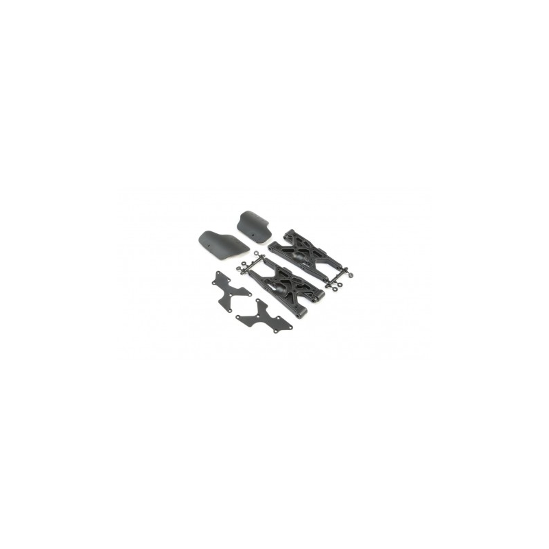 TLR244038