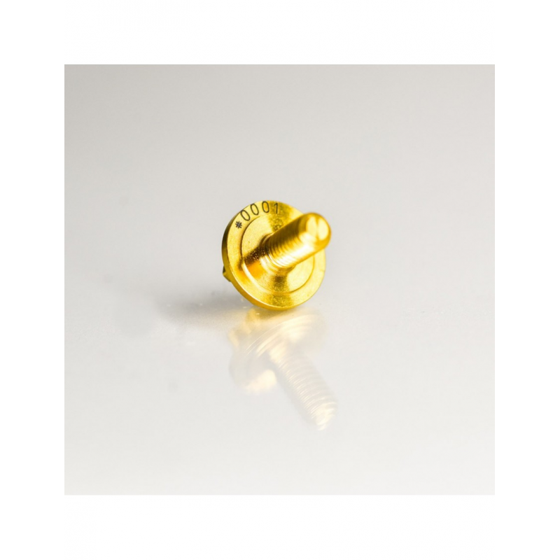 BRUGOLA IN TITANIO GRADO 5 6AL4V PER CAMPANA "LIMITED EDITION" - 2 PEZZI