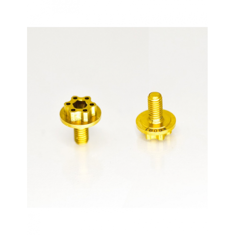 BRUGOLA IN TITANIO GRADO 5 6AL4V PER CAMPANA "LIMITED EDITION" - 2 PEZZI