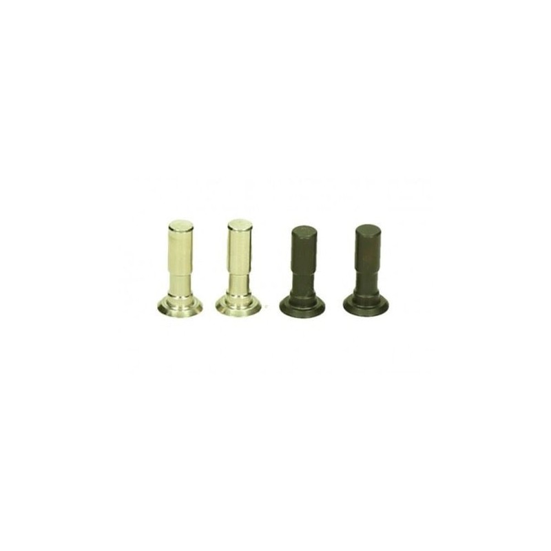 Set Pin Fuselli Anteriori (Pz.4) 204655