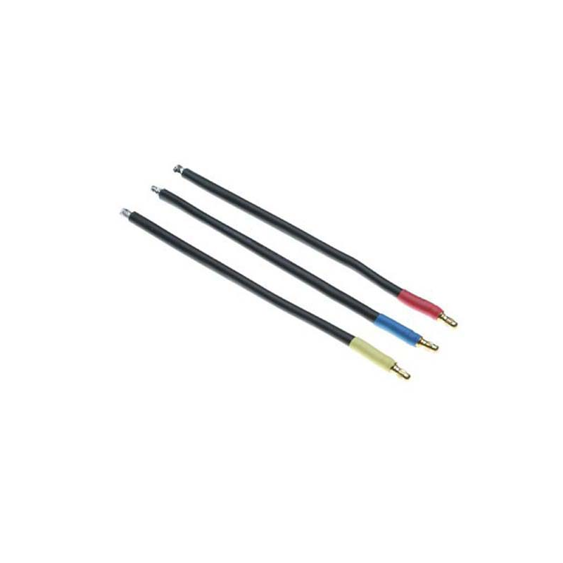 DYNC0137